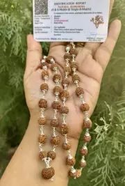 925 Sterling Silver + 4 +6 +8 Mukhi Faces LAB CERTIFIED 54+1 Rudraksha Mala Jaap