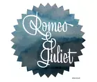 Robert Oster Signature Bottled Ink for Fountain Pens in Romeo & Juliet - 50 mL