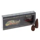 6 x BANJARA BACKFLOW - Cinnamon Incense (10 Cones)
