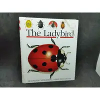 在飛比找蝦皮購物優惠-二手童書繪本The Ladydird第一次英語大發現