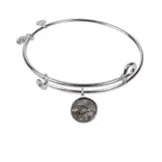 SOL 230103 Sign of the Fish, Bangle Sterling Silver Plated