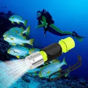 Diving Flashlight, Super Bright LED Diving Light Waterproof Underwater Torch for