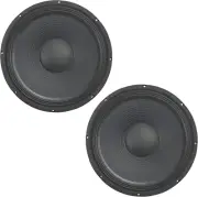 2X -P12WS8 12" Pro PA 500W Sub/Speaker 8 Ohm Woofer