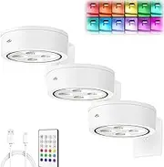 Topveden Picture Lights for Wall,Rechargeable Magnetic Poster Lights,Magnetic No Drill Wall Sconce (White)