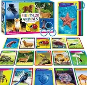 My First 120 Animals, 60 Pieces Realistic Zoo Animal Cards of Farm/Wild/Sea Animals/Insects/Birds Flashcards Montessori & Science Educational Toys for Preschool Children