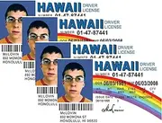 Signs 4 Fun NMLID McLovin Id License's Driver's License (4)