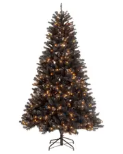 National Tree Company 7ft North Valley Black Spruce Tree with Clear Lights
