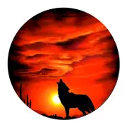WOLF SUNSET HOWL ANIMAL ART Pendant Charm On 925 Sterling Silver 20" Necklace