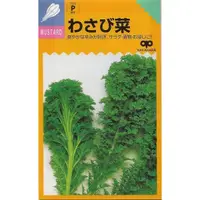 在飛比找蝦皮購物優惠-【蔬菜種子S011】山葵菜~~有山葵風味而得名。適合生菜沙拉