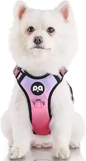 LED Dog Harness - Lighted Up, No-Pull with 2 Leash Clips, Adjustable Soft Padded Vest, Reflective Oxford Vest with Easy Control Handle (Pink, Small)