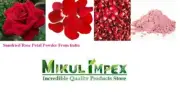 Rose Petal Powder Natural Organic Gulab Phool Powder Face Pack Chemical Free