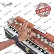 Bulbul FOLK INSTRUMENT BEST QUALITY INSTRUMENT ELECTRONIC INDIAN BANJO WITH CASE
