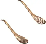 DINHEAROM Stunning Caviar Colanders 2pcs Slotted Steel Spoons Ideal for Fish Roe Wontons Glutinous Rice Ideal Present for Friends