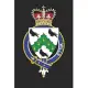 Wills: Wills Coat of Arms and Family Crest Notebook Journal (6 x 9 - 100 pages)