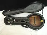 GOLD TONE GM-6+/L 6-string LEFTY electric mandolin GUITAR new w/ HARD CASE