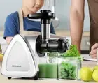 Slow Masticating Juicer with Reverse Function, Cold press, Silver, Portable
