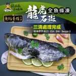 【蘇班長安心石斑】龍虎石斑鮮魚條凍700G 3入組 歐盟食安標準 得獎最多的石斑(龍虎石斑 龍膽石斑 永安石斑)