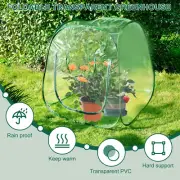 Mini Greenhouse Flexible Pop Up Small Greenhouse Portable Plant Greenhouse .t