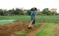 在飛比找KLOOK 客路優惠-會安漁村 & 陶瓷村 & 椰林鄉村之旅（配備奧黛女騎士）