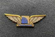 Continental Airlines Junior Pilot Kiddie Wings (Early 1990s)