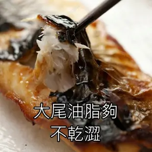 【永鮮好食】 挪威鯖魚2L (約200g/片) 挪威 熱銷 薄塩 鯖魚片 鯖魚 居酒屋 減鹽 薄鹽 正挪威 鯖魚片 海鮮 生鮮