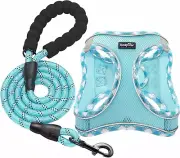 Haapaw Dog Harness with Leash Set, No Pull Adjustable Reflective Step-In Puppy H