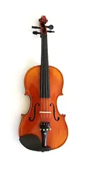 Brand New Full Size Violin 4/4 with Case, Bow, Rosin Model TXVN-01