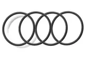 Davey Barrel Union O-Rings (set of 4)