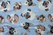 Timeless Treasures DOG-C5750 BLUE fabric (dogs blue background) 1yd