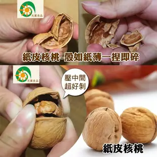 五包組 光薰原味紙皮核桃(300g/包) 紙皮核桃 原味核桃 團購食品 進口零食零嘴 伴手禮 核桃食品 核桃零食 新疆核桃 原味堅果 送禮首選