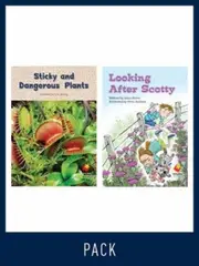 Flying Start Guided Reading Level 15, Pack 4