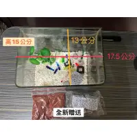 在飛比找蝦皮購物優惠-二手小魚缸 有明顯使用痕跡 缸內裝飾品免費贈送 飼料免費送 