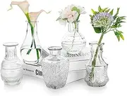 Glasseam Glass Small Bud Vase: Vintage Flower Vases for Centerpieces Mini Crystal Clear Vase Set of 5 Cute Decorative Vases for Flowers Decor Wedding Table Dining Room Decorations