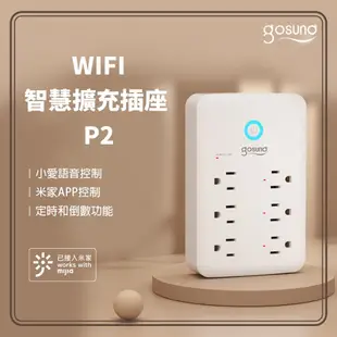酷克Gosund WIFI 智慧擴充插座 P2 台灣版 小米