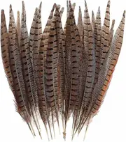 30 Pcs Pheasant Feathers,diy Pheasant Tails Feather,15-28 Cm Soft Native For Hats Crafts Decoration