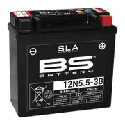 BS Battery SLA Battery Maintenance Free Factory Activated - 12N5.5-3B