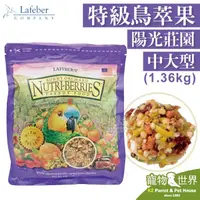 在飛比找PChome商店街優惠-缺《寵物鳥世界》美國樂飛寶 鳥萃果特級陽光莊園-中大型 (3