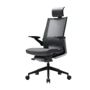 T80 Premium Ergonomic Office Chair
