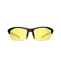 在飛比找PChome24h購物優惠-『專業運動』Siraya 運動太陽眼鏡 (黃色鏡片) ALP