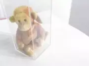 BEANIE BABY BY TY BONGO THE MONKEY NEW IN DISPLAY CASE W/TAG ERROR- IGGY-W6