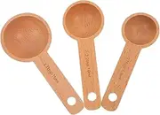 WEKADRIN Tea Scoop Set Measuring Spoons for Sugar Coffee Spices Compact Hygienic
