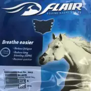 ✨6 Pack Flair Equine Nasal Strips