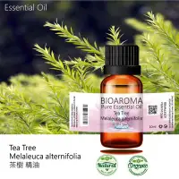 在飛比找Yahoo!奇摩拍賣優惠-【芳香療網】Tea Tree - Melaleuca alt