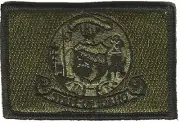 VELCRO® BRAND Fastener Morale HOOK PATCH State of Idaho OLIVE DRAB 3x2"