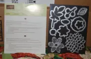 Stampin'Up! MAY FLOWERS framelits dies, by Sizzix new, retired