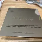 ICONIC LONDON Booming & Gleaming 20 Shade Eyeshadow Palette Retail $62
