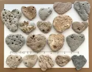 18 Natural ❤️❤️Heart Shaped Hag Beach Stones 2-3" Love Rocks valentine holey USA