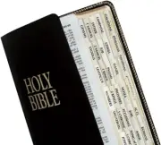 Gold-Edged Bible Indexing Tabs, Old & New Testament, 80 Tabs Including