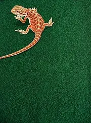 Komodo 83029 Reptile Carpet 120x60cm