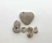 Natural Shaped "❤️Dogs” Beach Stones Heart love rock letter pebble craft art hag